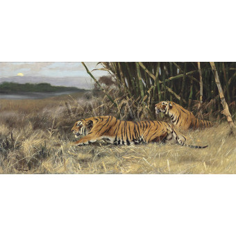 РЕПРОДУКЦИИ НА КАРТИНИ Два преследващи тигъра (1910)